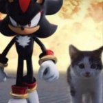 Shadow and cat meme