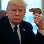 Donald Trump holding a mouse RB60 Arbie