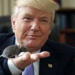 Donald Trump holding a mouse RB60 Arbie