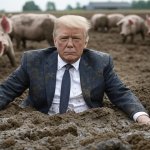 Donald Trump wallowing in mud Pigs