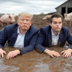 Donald Trump Matt Gaetz wallowing in mud Pigs