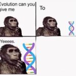 evolution can you give me