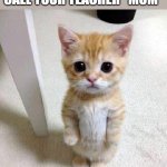 When you call your teacher Mom | WHEN YOU ACCIDENTALLY CALL YOUR TEACHER "MOM" | image tagged in memes,cute cat | made w/ Imgflip meme maker