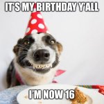 Birthday | IT’S MY BIRTHDAY Y’ALL; I’M NOW 16 | image tagged in birthday dog,happy birthday | made w/ Imgflip meme maker