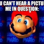 Mario head | "YOU CAN'T HEAR A PICTURE!"
ME IN QUESTION: | image tagged in mario head | made w/ Imgflip meme maker