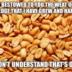 Would you like a peanut | I BESTOWED TO YOU THE WEAT OF KNOWLEDGE THAT I HAVE GREW AND HARVESTED; YOU DON'T UNDERSTAND THAT'S ON YOU. | image tagged in peanuts,philosophy,buddhism,people,happiness,within | made w/ Imgflip meme maker