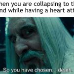 I am collapsing to the ground while having a heart attack | When you are collapsing to the ground while having a heart attack: | image tagged in so you have chosen death,memes,funny | made w/ Imgflip meme maker