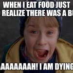 When I Eat Food Just To Realize There was a Bug | WHEN I EAT FOOD JUST TO REALIZE THERE WAS A BUG; AAAAAAAAAH! I AM DYING!!! | image tagged in kevin mccallister screaming | made w/ Imgflip meme maker