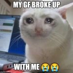 Crying cat | MY GF BROKE UP; WITH ME 😭😭 | image tagged in crying cat | made w/ Imgflip meme maker