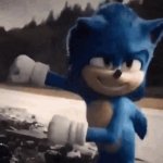 sonic 1,a big tank 0 GIF Template