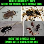 Funny | FLORIDA ROACHES 🪳: U AIN'T LIKE US, I AIN'T DO NUFFIN TO GET LOCKED UP. I AIN'T SLURN MA WURDS. DATS HOW AH TALK. I DON'T DO DRUGS I JUST SMOKE WEED AND SHERM AND EIGHTBALLS AND DRANK FRUITY LEAN. WHATCHU PULL ME OVER FOR?? | image tagged in funny,florida,cockroaches,drugs,hip hop,smoke weed everyday | made w/ Imgflip meme maker