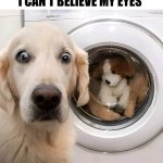 I Can't Believe My Eyes | I CAN'T BELIEVE MY EYES | image tagged in chris joines | made w/ Imgflip meme maker