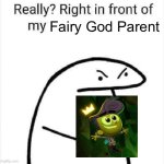 Right in front of my fairy god parent?!?! | Fairy God Parent | image tagged in really right in front of my | made w/ Imgflip meme maker