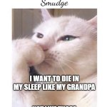 Die in sleep | I WANT TO DIE IN MY SLEEP LIKE MY GRANDPA; NOT LIKE THOSE SCREAMING PEOPLE IN HIS CAR | image tagged in deep-thoughts-by-smudge | made w/ Imgflip meme maker