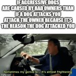 There Is No Such Thing As A Bad Dog | IF AGGRESSIVE DOGS ARE CAUSED BY BAD OWNERS THAN IF A DOG ATTACKS YOU ATTACK THE OWNER BECAUSE IT'S THE REASON THE DOG ATTACKED YOU | image tagged in gifs,memes,dogs,owner,aggressive,fight | made w/ Imgflip video-to-gif maker