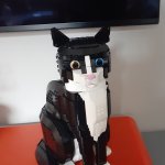 Lego Tuxedo Cat