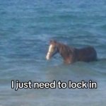 i just need to lock in (horse)