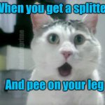 Talk about a wardrobe malfunction | When you get a splitter; deadboxprime; And pee on your leg | image tagged in memes,omg cat | made w/ Imgflip meme maker