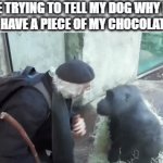 I May Get Health Problems But This Can Kill You | ME TRYING TO TELL MY DOG WHY HE CAN'T HAVE A PIECE OF MY CHOCOLATE BAR | image tagged in gifs,memes,relatable,chocolate,dog,dog memes | made w/ Imgflip video-to-gif maker