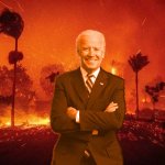 LA Biden Fire