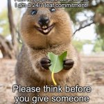 Quokkas- not for presents | I am not a toy.
I am not a Christmas present.
I am a 24/7 leaf commitment. Please think before you give someone a Quokka for Christmas. | image tagged in quokka,presents | made w/ Imgflip meme maker