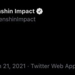 Genshin Impact Tweet Blank Meme meme