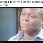 Sometimes I don't even eat the bun | Hotdog + bun: *still called a hotdog*
The bun: | image tagged in am i a joke to you | made w/ Imgflip meme maker