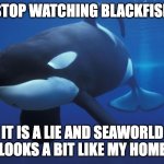 The Truth | STOP WATCHING BLACKFISH; IT IS A LIE AND SEAWORLD LOOKS A BIT LIKE MY HOME | image tagged in killer whale,orca,the truth,seaworld | made w/ Imgflip meme maker