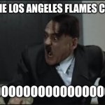 Hitler | WHEN THE LOS ANGELES FLAMES CONTINUE; NOOOOOOOOOOOOOOOOOOOOOOO | image tagged in hitler,los angeles,fire,wtf,no way,why | made w/ Imgflip meme maker