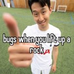 bugs when you lift up a rock