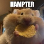 H a m p t e r | HAMPTER | image tagged in hampter eating | made w/ Imgflip meme maker