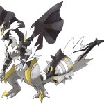 Perfect Kyurem