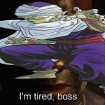 piccolo
