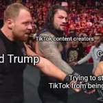 I really hope it doesn't get banned | TikTok content creators; Gen Z/Millennials; Donald Trump; Trying to stop TikTok from being banned | image tagged in wwe the shield,tiktok,tiktok ban,memes,january 19th,save tiktok | made w/ Imgflip meme maker