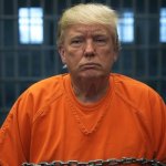 Donald Trump in a prison cell Convict Felon Republican