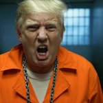 Donald Trump in a prison cell Convict Felon Republican