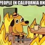 they are cooked | PEOPLE IN CALIFORNIA RN:; this is fine | image tagged in its fine,memes,gifs,funny,relatable,fun | made w/ Imgflip meme maker