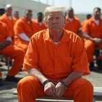 Donald Trump in a prison Convict Felon Republican