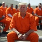 Donald Trump in a prison shackles Convict Felon Republican