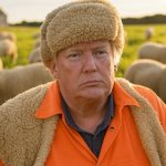 Donald Trump sheeple sheep sheepskin hat orange jumpsuit meme