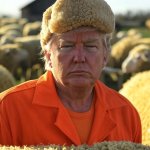 Donald Trump sheeple sheep sheepskin hat orange jumpsuit