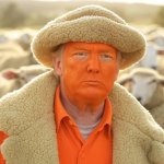 Donald Trump sheeple sheep sheepskin hat orange jumpsuit