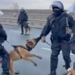 dog bites cop