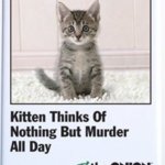 Kitten thinks of nothing but murder all day