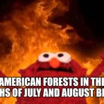 elmo fire | AMERICAN FORESTS IN THE MONTHS OF JULY AND AUGUST BE LIKE : | image tagged in elmo fire | made w/ Imgflip meme maker