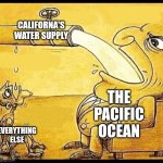 Why Californa has no water. | CALIFORNA'S WATER SUPPLY; THE PACIFIC OCEAN; EVERYTHING ELSE | image tagged in fat guy drinking water | made w/ Imgflip meme maker