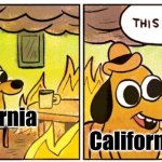 This Is Fine Meme | California; California | image tagged in memes,this is fine,california,politics,dog in burning house,funny | made w/ Imgflip meme maker