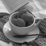 Berries and Books.