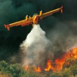 Canadian super scooper plain