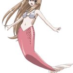 sun seto